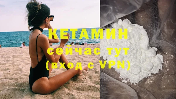 шишки Вяземский