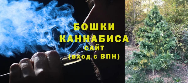 шишки Вяземский