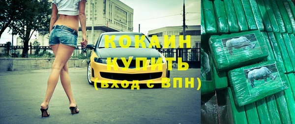 шишки Вяземский
