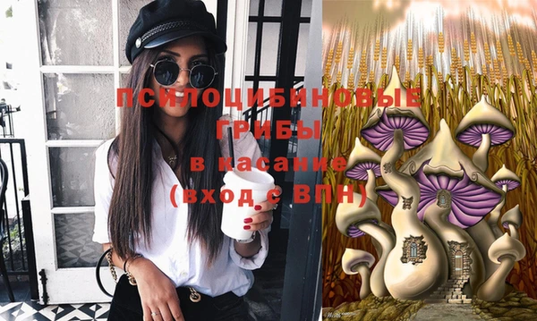 бошки Вязьма