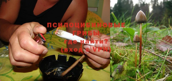 бошки Вязьма