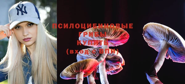 шишки Вяземский