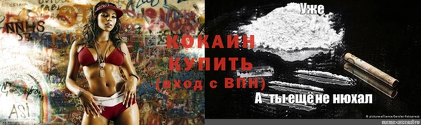 бошки Вязьма