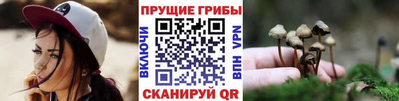 blacksprut зеркало Ковров Галлюциногенные грибы ЛСД